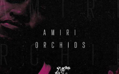 Tea White - Amiri Orchids