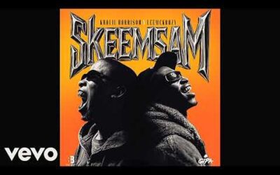 LeeMcKrazy - BANYANA ft. DBN Gogo, Zee Nxumalo, Tyler ICU & Scotts Maphuma