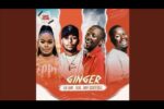Luu Deep, SGVO & Deep Essentials - Ginger