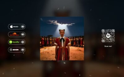 Davuiside - Papaoutai