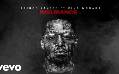Prince Kaybee - Insurance (Visualizer)