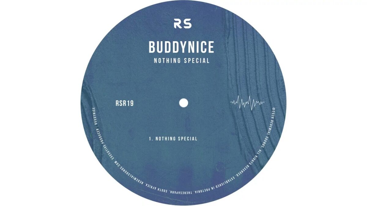 Buddynice - Nothing Special