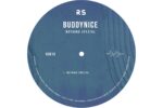 Buddynice - Nothing Special