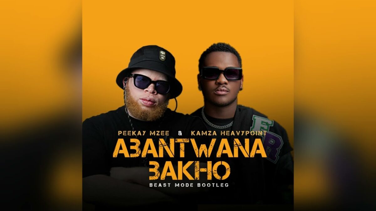 Peekay Mzee - Abantwana Bakho (Peekay Mzee & Kamza Heavypoint Beast Mode Bootleg)