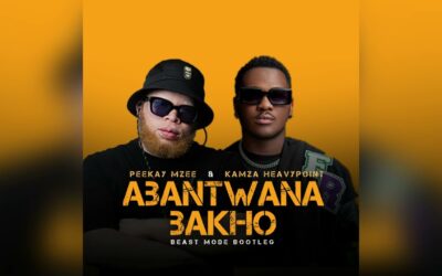 Peekay Mzee - Abantwana Bakho (Peekay Mzee & Kamza Heavypoint Beast Mode Bootleg)