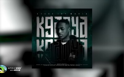 Africori - Steve Jay MusiQ - Zone 03 (Official Audio)