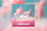 Africori - Sethlo - Perroquet ( Official Audio)