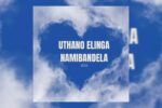New Amapiano Songs 2026 - Kelvin Momo x Dj Njebza - Uthando Elinga Namibandela (Official Audio) ft Boohle, Nkosazana Daughter