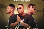 AmaTycooler - Imithandazo