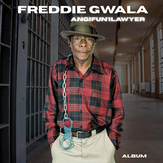 Freddy Gwala - Angifun' lawyer