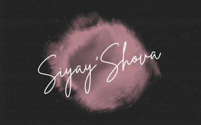 LeeMcKrazy - Siyay'Shova