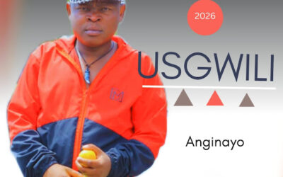 Usgwili Mhlongo - Anginayo
