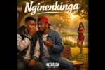 New Amapiano Songs 2026 - Nginenkinga