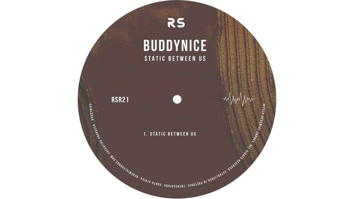 Buddynice - Buddynice - Static Between Us