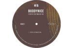 Buddynice - Buddynice - Static Between Us