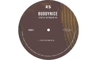 Buddynice - Buddynice - Static Between Us