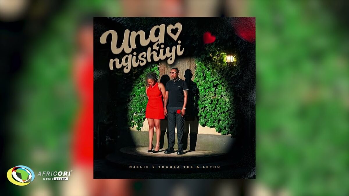 Africori - Njelic, ilovelethu & Thabza Tee - Ungangishiyi (Official Audio)
