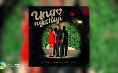 Africori - Njelic, ilovelethu & Thabza Tee - Ungangishiyi (Official Audio)