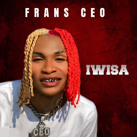 Frans Ceo - Uyangichaza