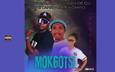Mokgotsi - King Salah & Chimza De Dj