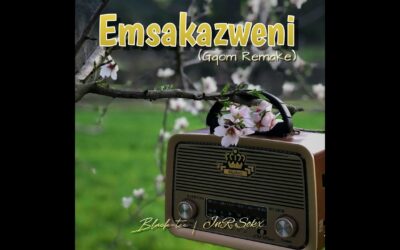 JnR Sokx - Emsakazweni (Gqom Remake)