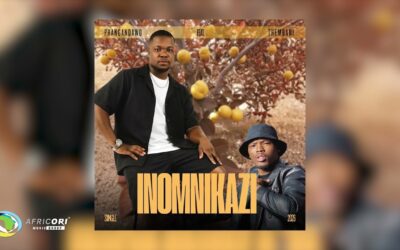 Phangandawo - Phangandawo - Inomnikazi (Official Audio)