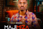Majimiza - SENZA AMAWOLOLO
