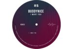 Buddynice - Buddynice - I Want You